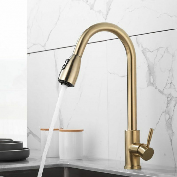 Gold Pull Out Faucet